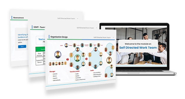 Self Directed Work Team E-learning Training and Certification