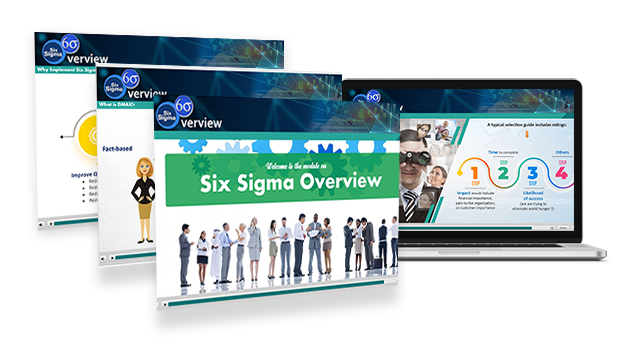 Six Sigma Awareness E-learning Training and Certification